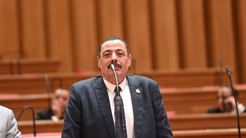 النائب أشرف أمين