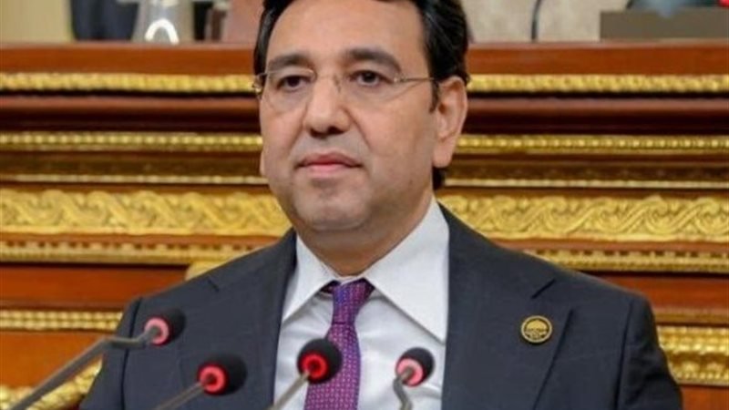 النائب أيمن محسب