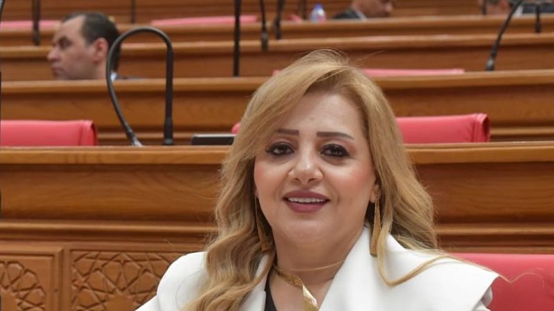النائبة هبة غالي