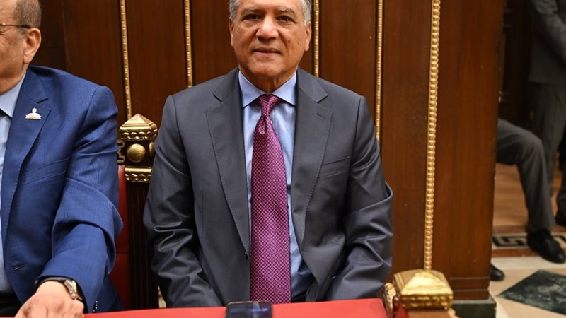 عفت السادات