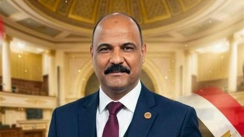 النائب علي سيد معوض