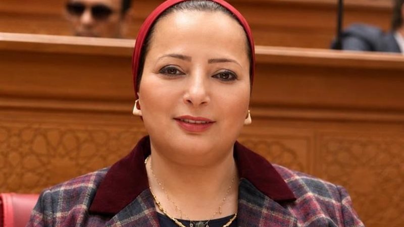 النائبة  مروة حسان