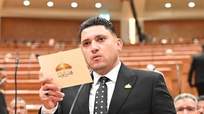 النائب أسامة عبدالشكور