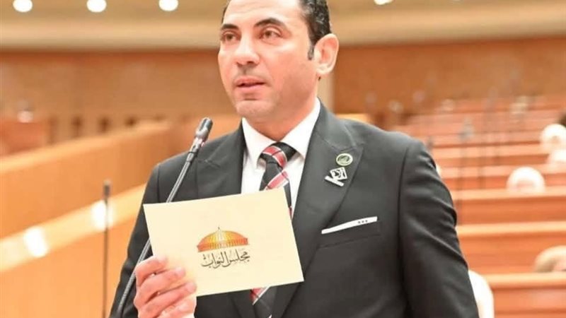 النائب محمد فؤاد