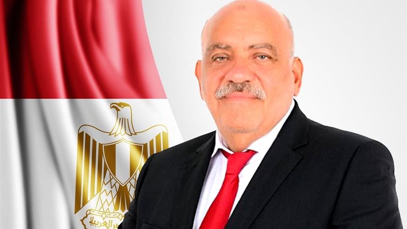 النائب سيد حنفي طه