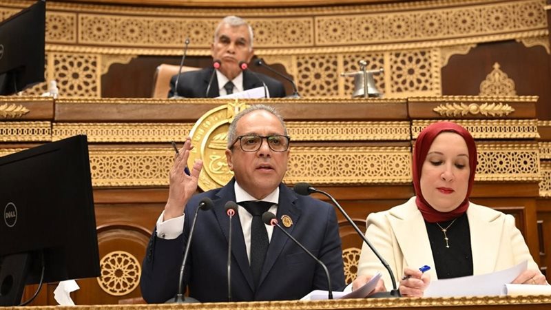 النائب أحمد حلمي