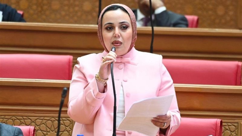  النائبة دنيا هاني سيف
