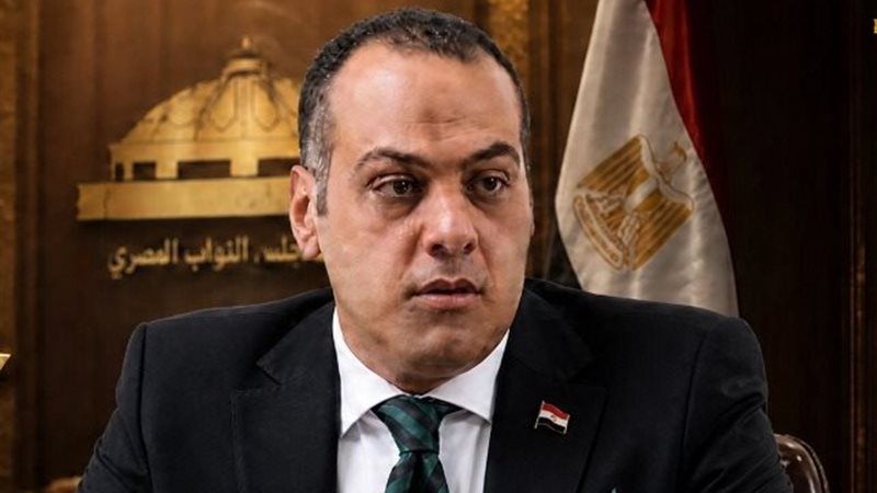 النائب  محمود عادل
