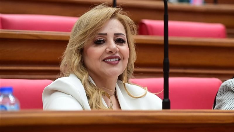  النائبة هبة غالي