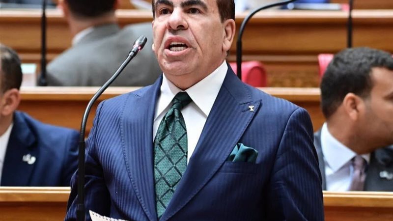 النائب ياسر الهضيبي