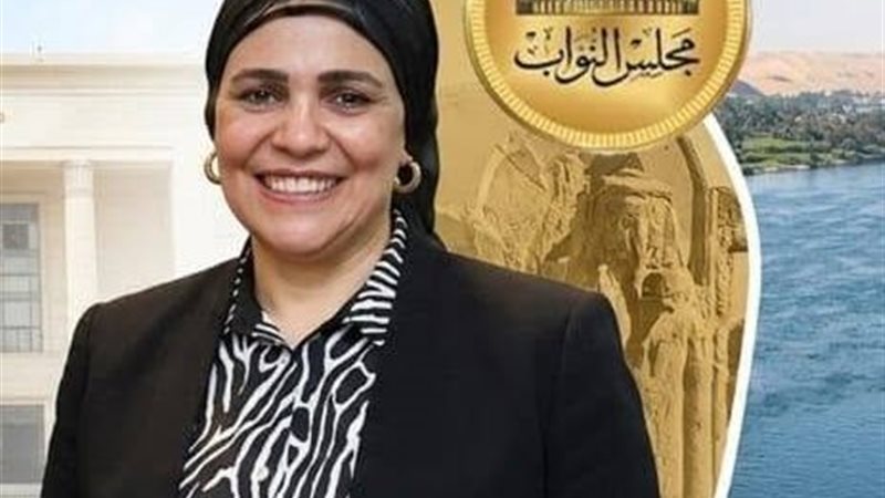 النائبة أميرة زيدان