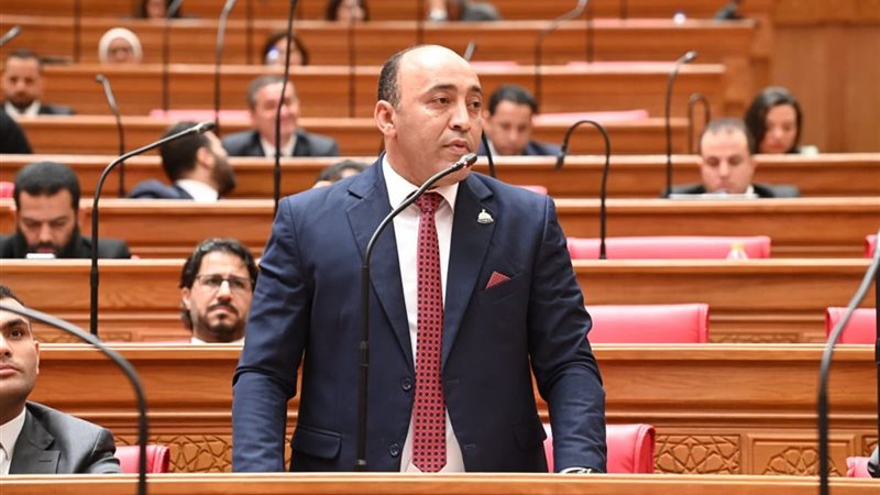النائب حسام الخشت داخل البرلمان 