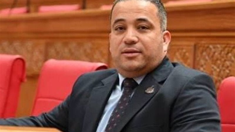 النائب هاني شحاتة