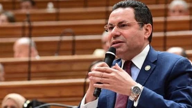 النائب هشام الحصري