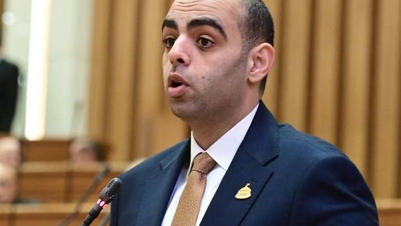 النائب حسن عمر حسنين