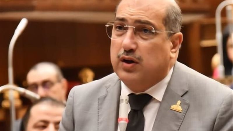 النائب  إيهاب وهبة