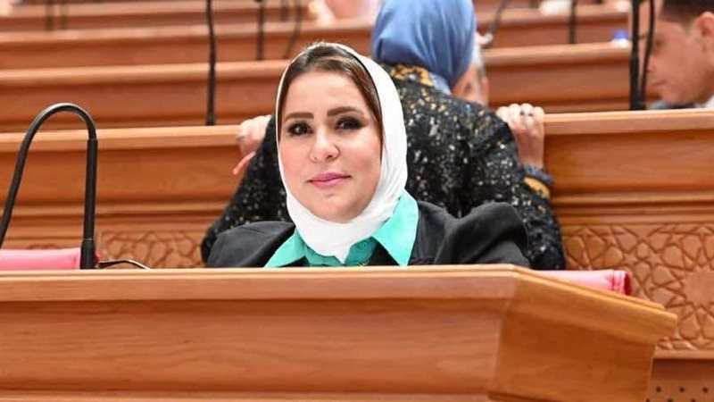 النائبة نيفين الكاتب