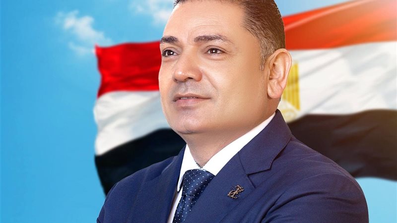 النائب أحمد الفيشاوي