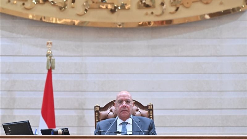 المستشار هشام بدوي