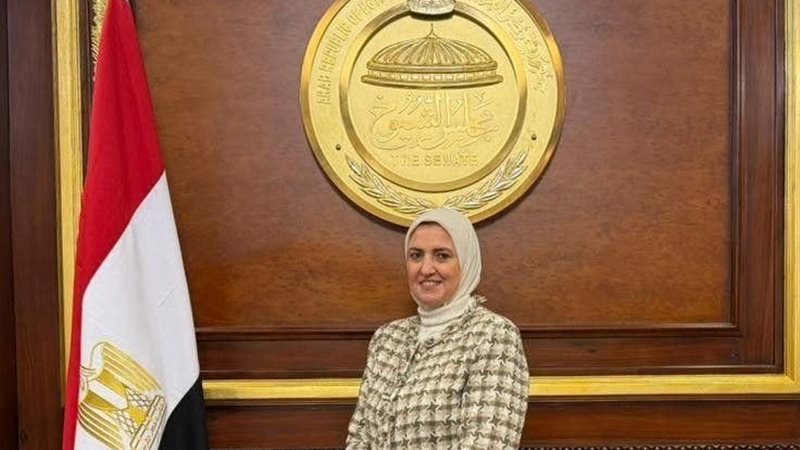 النائبة الدكتورة