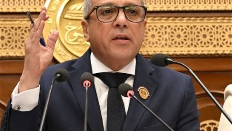 النائب أحمد حلمي