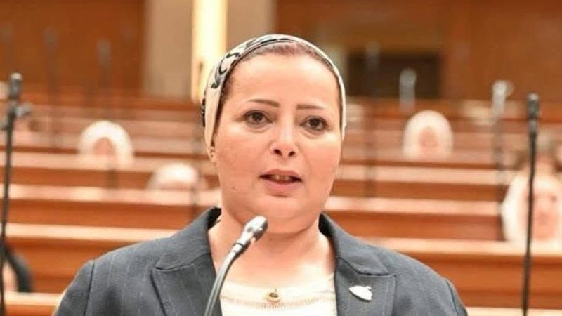 النائبة مروة حسان