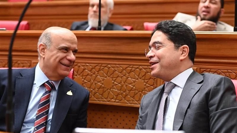 النائبان ضياء داود