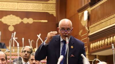 حازم الجندي: القمة المصرية السعودية تعكس متانة العلاقات بين البلدين
