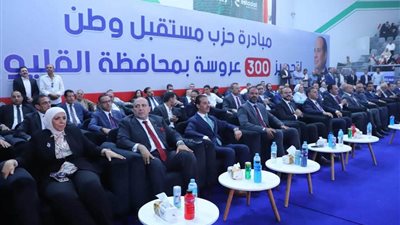 300 عروسة في خامس جولات القليوبية 