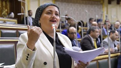 تحرك برلماني من سناء السعيد لحل أزمة طلاب التربية السمعية بأسيوط