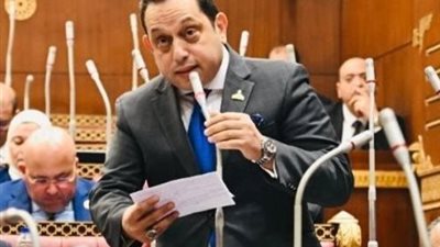  النائب محمد الجندي، عضو مجلس الشيوخ 
