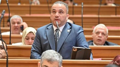 النائب هاني شحاتة: فرصة ثانية للعلاج قبل فصل الموظف المتعاطي