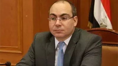 محمد رشوان، عضو مجلس النواب 