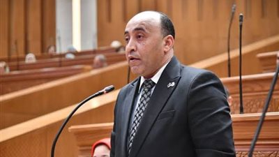 النائب حسام حسن الخشت يطالب بكشف مستهدفات التعليم العالي بصعيد مصر