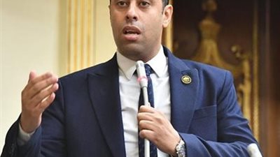 النائب أحمد فرغلي 
