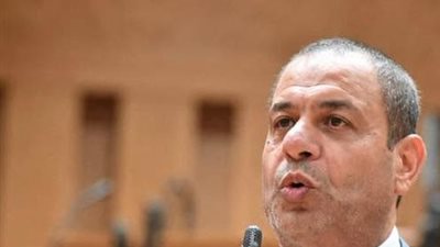 النائب فوزي مأمون الجوجري، عضو مجلس النواب 