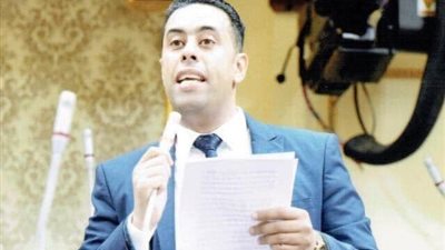 النائب أحمد فرغلي، عضو مجلس النواب 