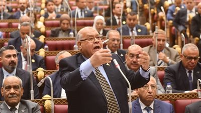 ناجي الشهابي يطالب بمنظومة نظافة دائمة في المحلة بدلًا من الحملات المؤقتة