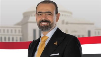 عضو بالشيوخ: الجهود المصرية ركيزة أساسية لتحقيق الاستقرار الإقليمى