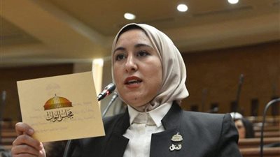  النائبة صافيناز طلعت 