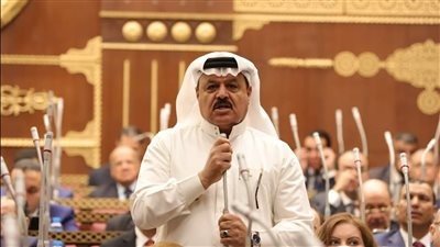 النائب فايز أبو حرب 