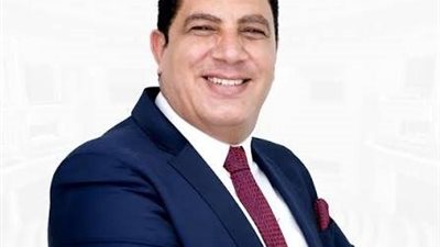 النائب السيد الغيطاني، عضو مجلس النواب 