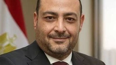  محمد مصطفى كشر، عضو لجنة الصناعة بمجلس الشيوخ 