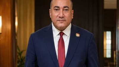 النائب عمرو رشاد، عضو لجنتي الإسكان والقيم بمجلس الشيوخ 