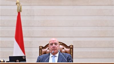 المستشار هشام بدوي 