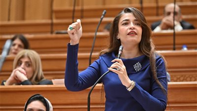 إيرين سعيد رئيس الهيئة البرلمانية لحزب الإصلاح والتنمية  