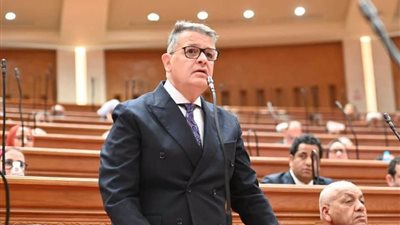 النائب طارق رضوان، رئيس لجنة حقوق الإنسان بمجلس النواب 