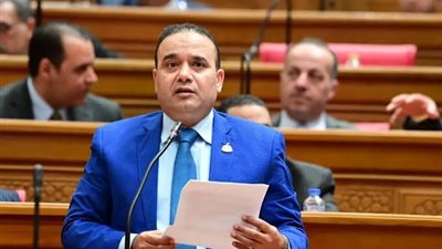 النائب ياسر عرفة عضو مجلس النواب 
