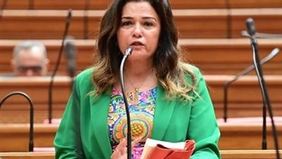 النائبة سحر طلعت مصطفى رئيسًا لسياحة النواب 