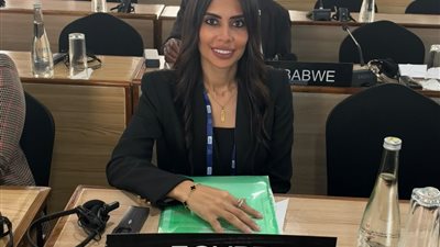 النائبة هايدي المغازي، وكيل لجنة العلاقات الخارجية بالمجلس 